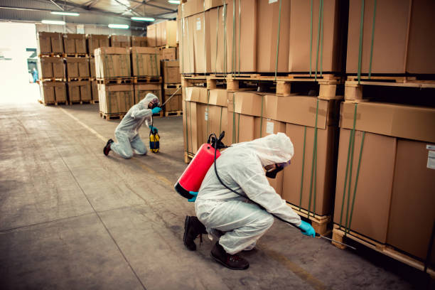 Best Exterminator Services  in Marshall, IL
