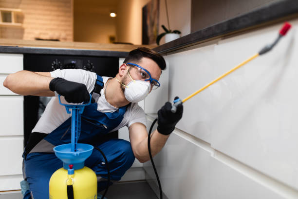 Best Emergency Pest Control  in Marshall, IL