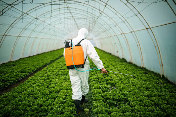 Best Pest Prevention Services  in Marshall, IL