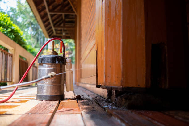 Pest Control Cost in Marshall, IL