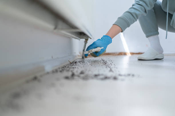 Flea Control Services in Marshall, IL